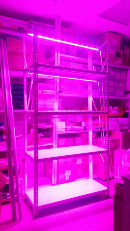 стеллаж для выращивания рассады с подсветкой разборный